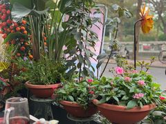 -山水茶艺馆·点心粤菜·30年老字号