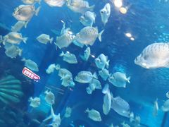 -顺德南宏海立方海洋公园
