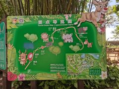 -海南热带野生动植物园