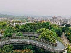 -福道