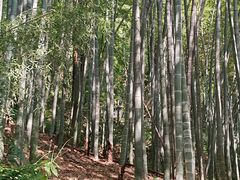 -杭州黄龙洞
