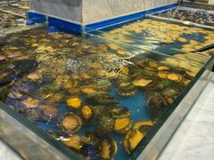 -川骄海鲜自助(河东店)