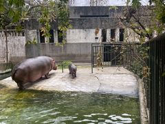 -成都动物园