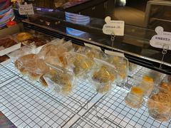 -TD66高山铁皮石斛养生茶饮