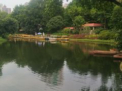 -晓港公园
