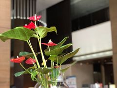 -深圳湾科技园丽雅查尔顿酒店