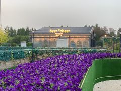 -莫子山公园