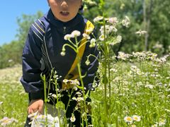 -黄海国家森林公园