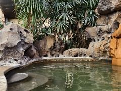 -郑州银基黄帝宫御温泉