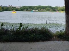 -昆山城市生态森林公园