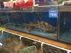 -御唐府海珊瑚主题餐厅