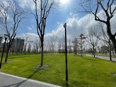 -上海山野camping·户外天幕烧烤·团建拓展营地