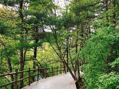 -秦岭天竺山景区