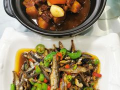 毛家红烧肉-来韶饭店