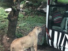 -西安秦岭野生动物园