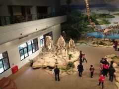 -自贡恐龙博物馆