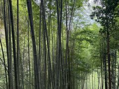 -崀山风景名胜区