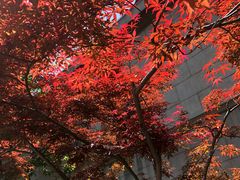 -毛泽东同志旧居