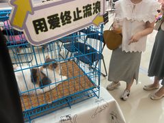 -万达广场(松江店)