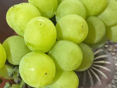 -马陆小张葡萄园农家乐