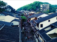 -南山植物园