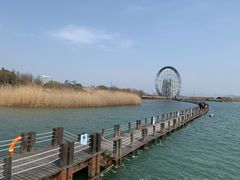 -太湖湖滨国家湿地公园-停车场