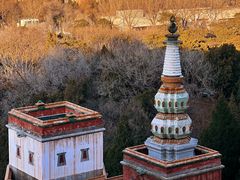 -颐和园