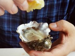 android_upload_pic-Oyster Talks 四度蚝法餐厅