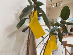 -沏点Trattoria意大利餐厅(新街口店)