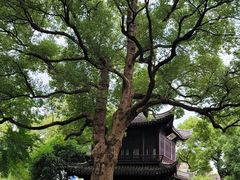 -惠山古镇·寄畅园