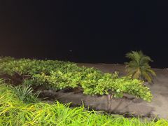 -渔家火锅·海鲜自助餐·演艺(亚龙湾天域酒店)