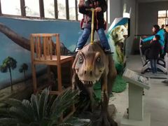 -自贡恐龙博物馆