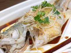 清蒸鲈鱼-盒马鲜生(双清路店)
