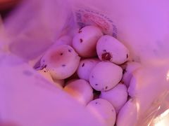 鲜乳提子麻薯-墨茉点心局(国金街店)