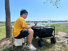 -春花秋色城市公园