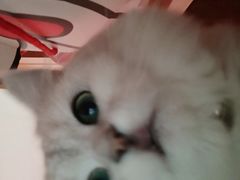 -宠颐生中康贝怡动物医院