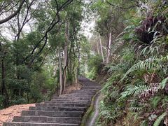 -火炉山森林公园