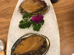 -一本钓鲔鱼屋