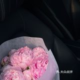 三里屯限定少女感gelato太美腻了