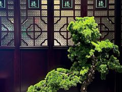 -悦满楼·西关名点·湛江名菜(航空综合大厦店)