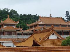 -深圳仙湖植物园