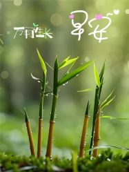 -克丽缇娜