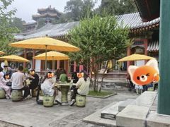 -宫事颐庭·老佛爷贵寿下午茶(颐和园店)