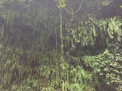 -海口火山口国家地质公园