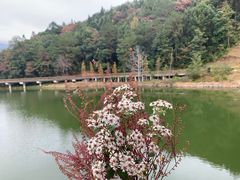 -梁野山景区