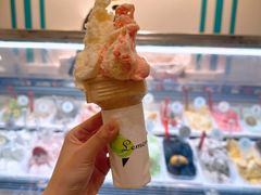 -柠檬车露(卖草地店)