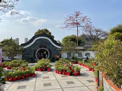 -广州神农草堂中医药博物馆