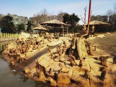 -常州淹城野生动物世界