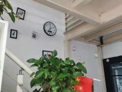 -起点潮色造型