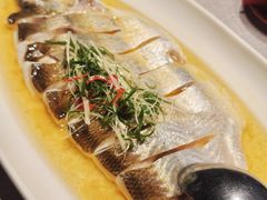 -拾宴(汇智国际商业中心店)